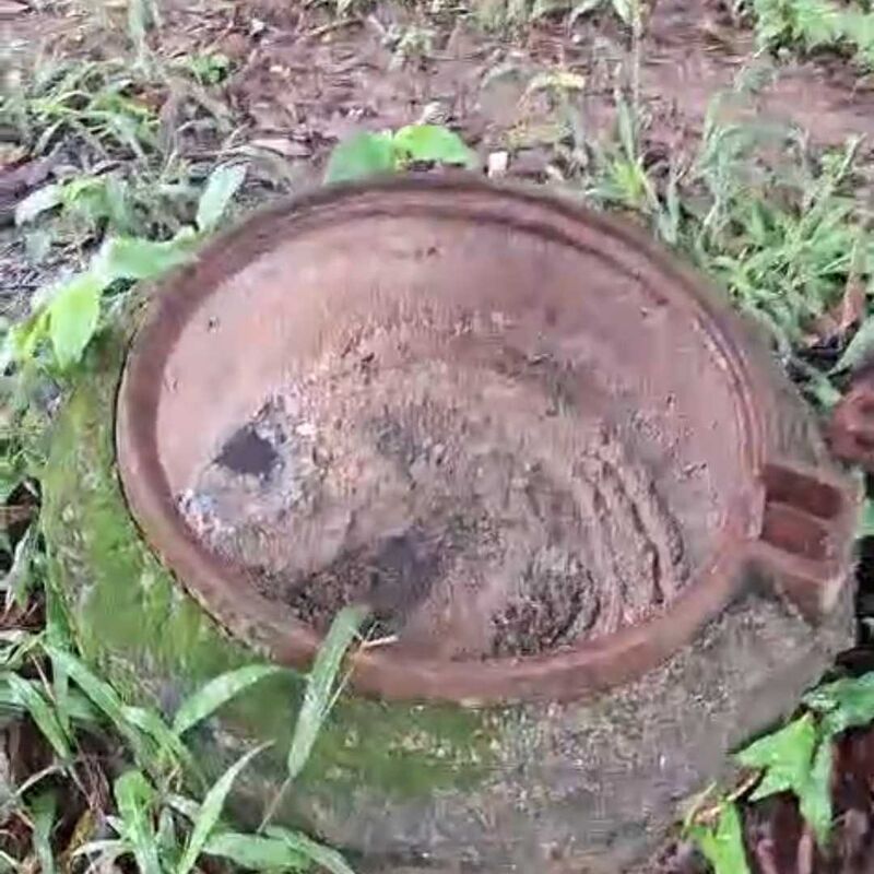 Imagem da publicação