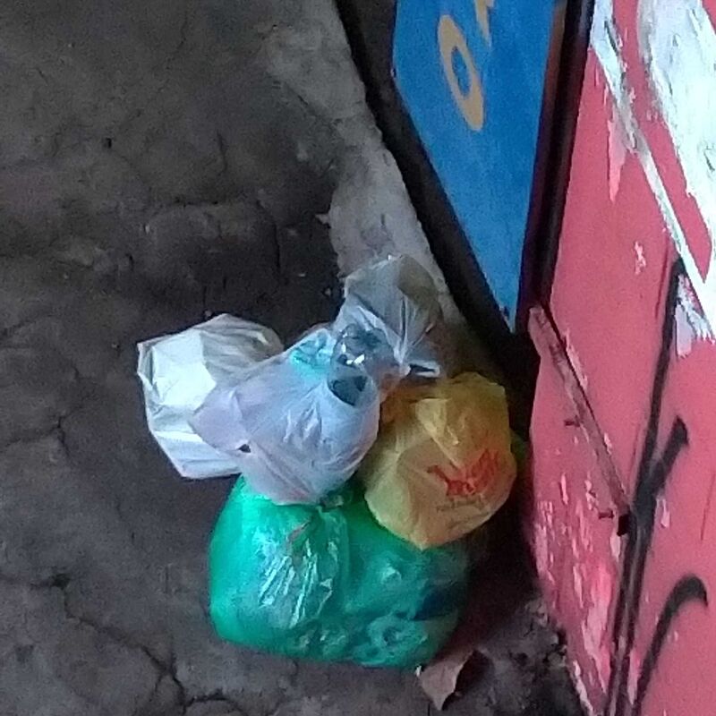 Imagem da publicação