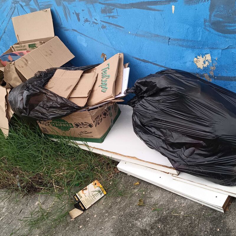 Imagem da publicação