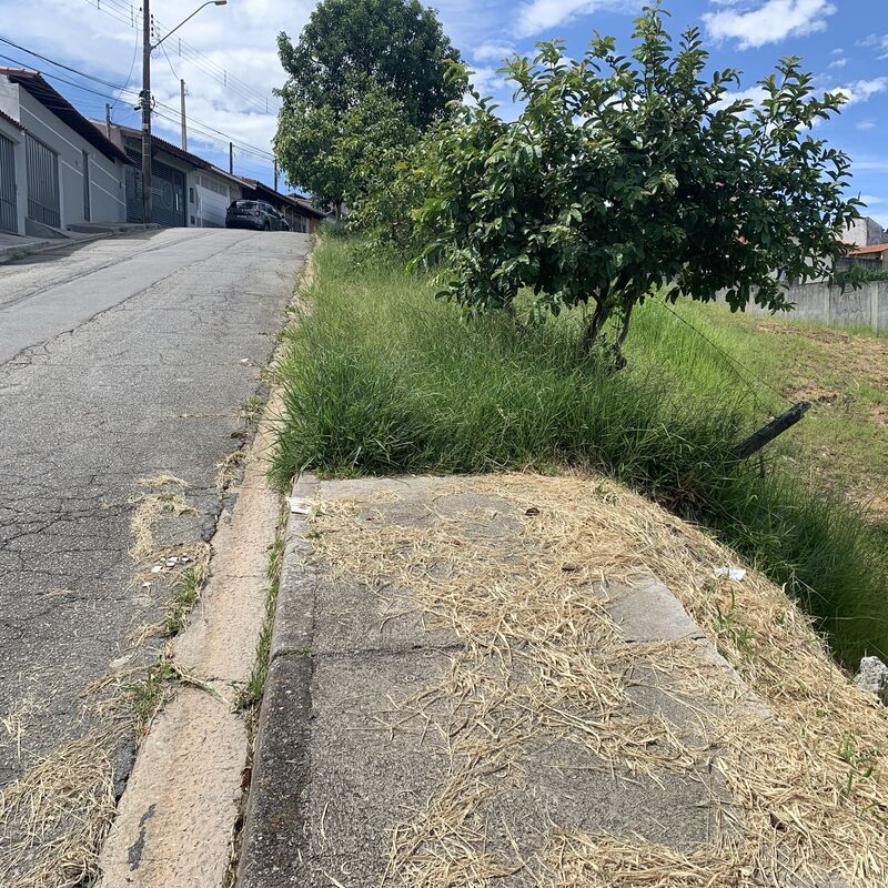 Imagem da publicação