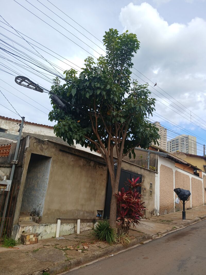 Imagem da publicação