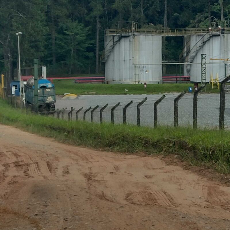 Imagem da publicação