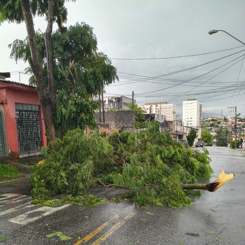 Imagem da publicação