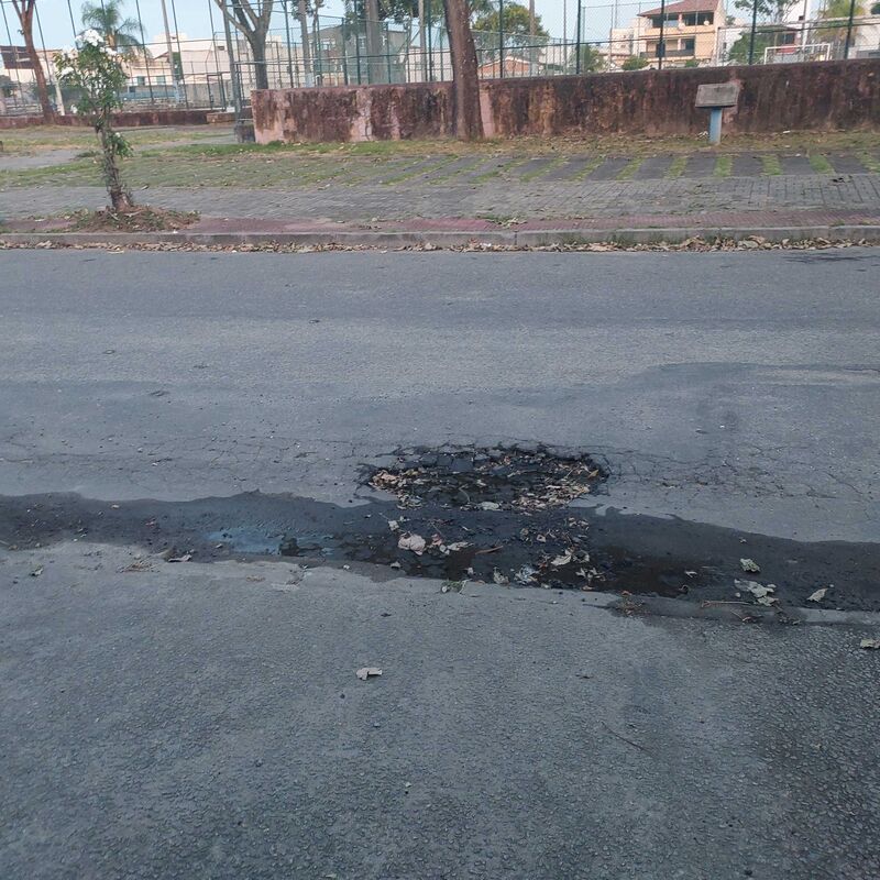 Imagem da publicação