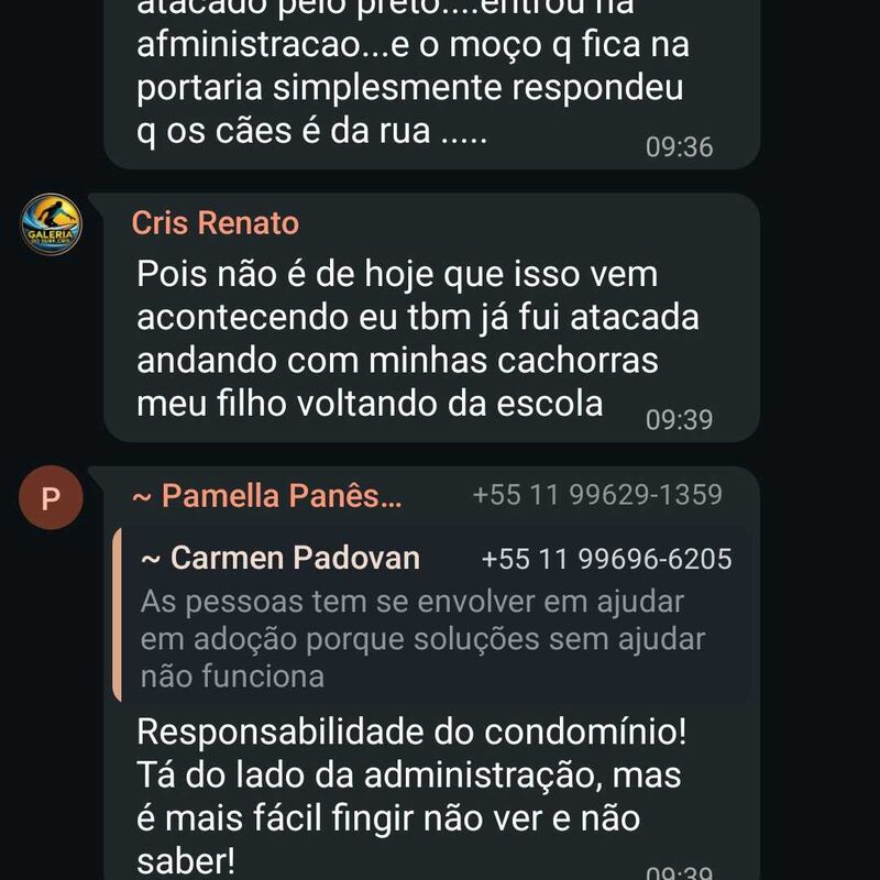 Imagem da publicação