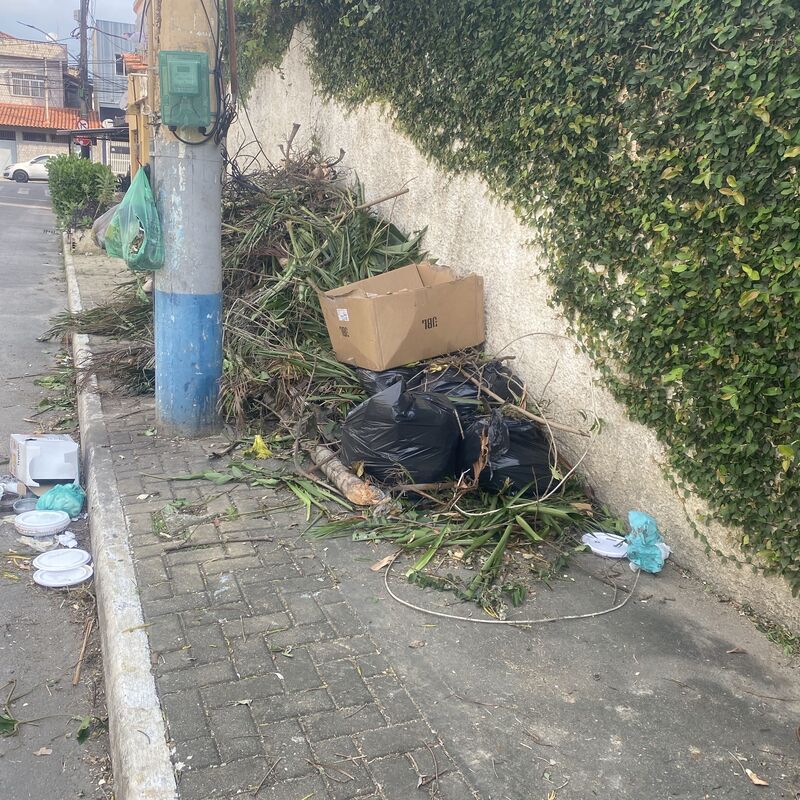 Imagem da publicação