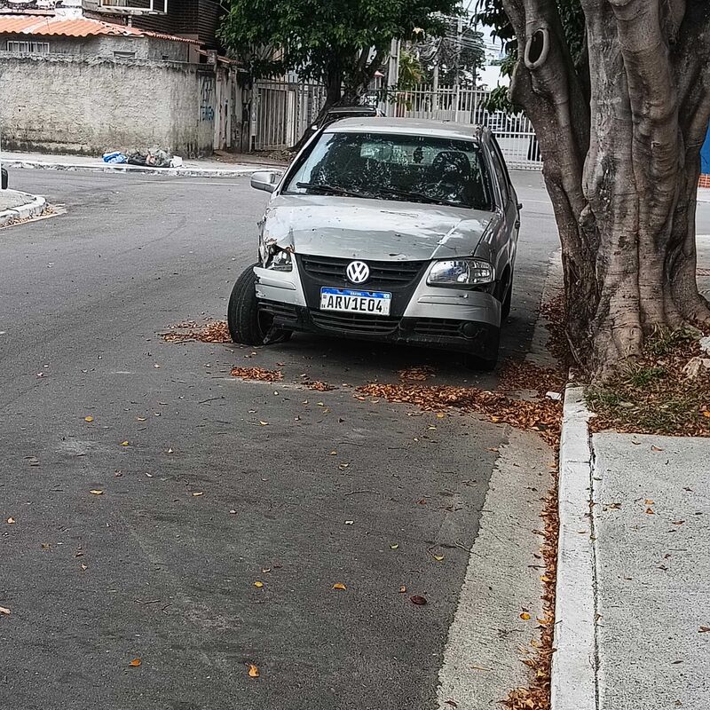 Imagem da publicação