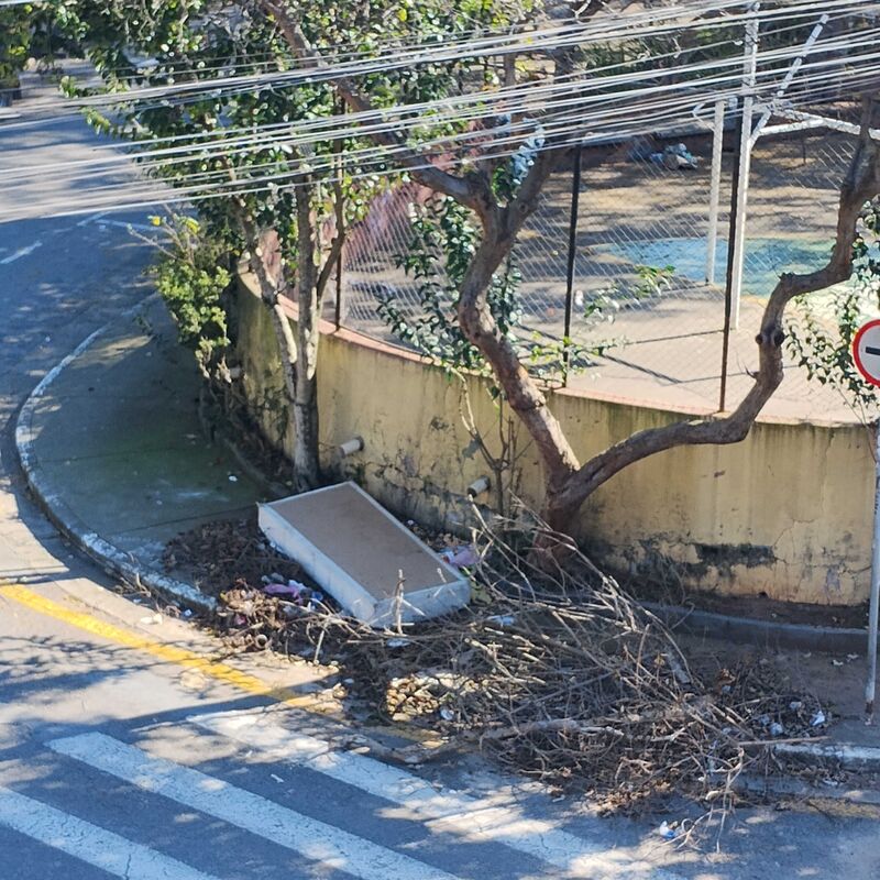 Imagem da publicação