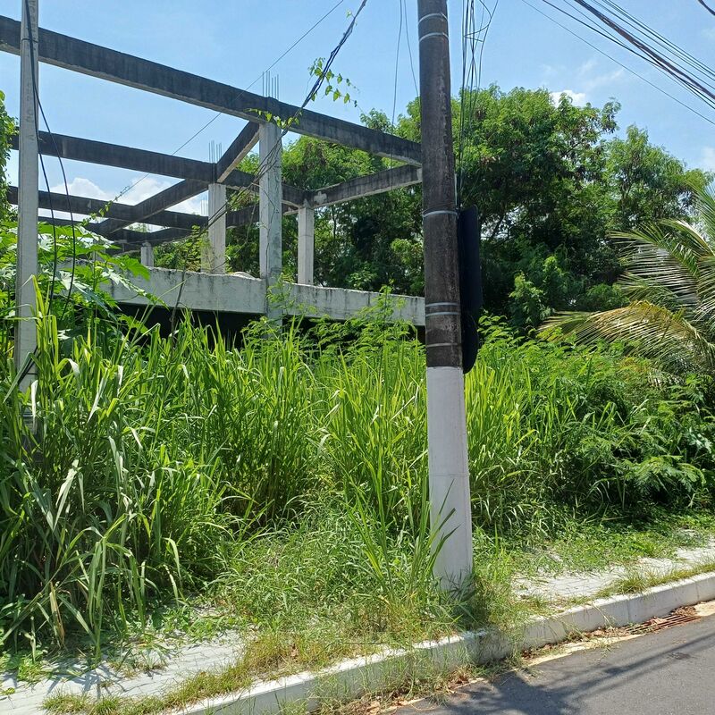 Imagem da publicação