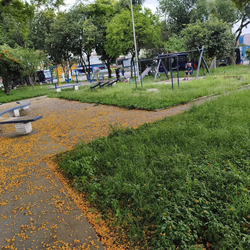 Imagem da publicação