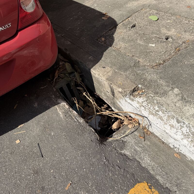 Imagem da publicação