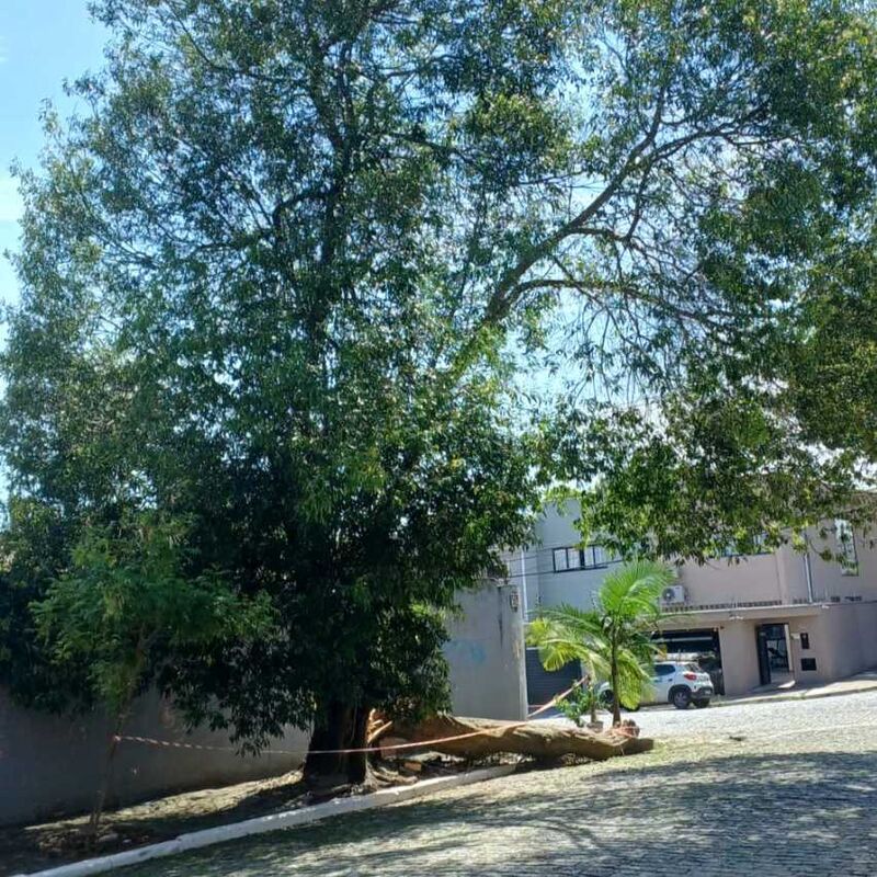 Imagem da publicação