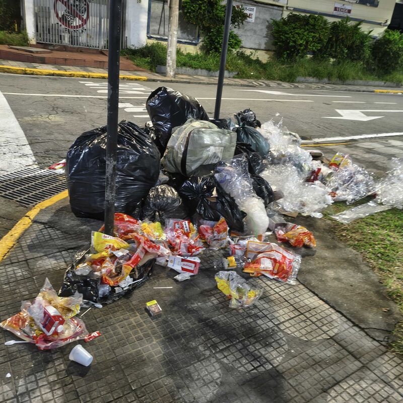 Imagem da publicação
