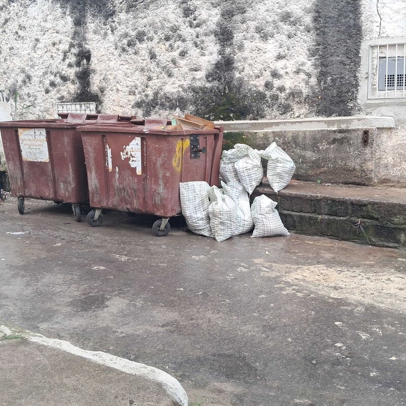 Imagem da publicação
