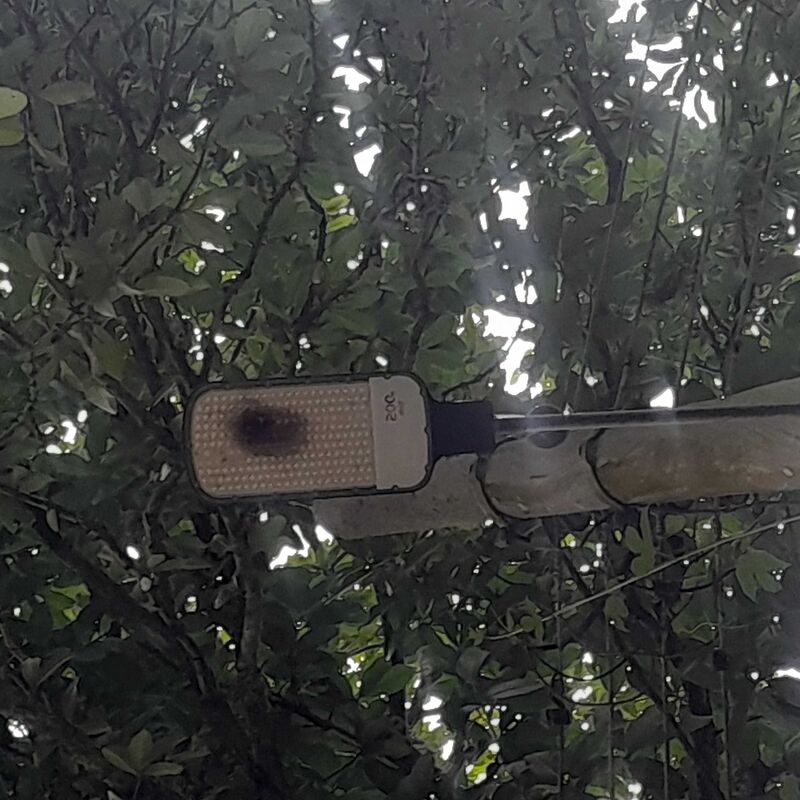 Imagem da publicação