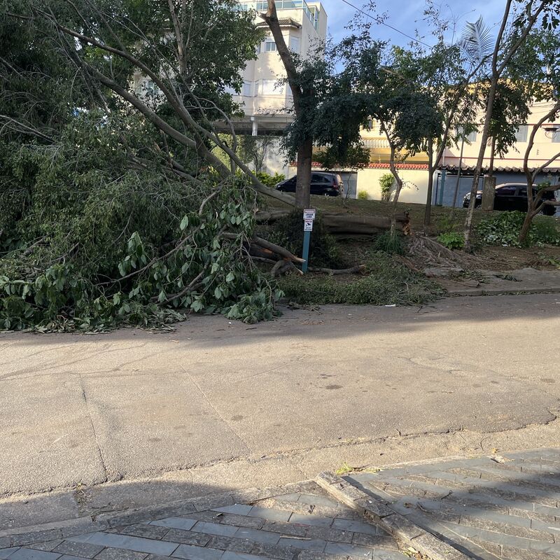 Imagem da publicação