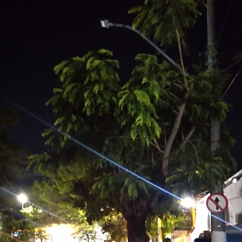 Imagem da publicação