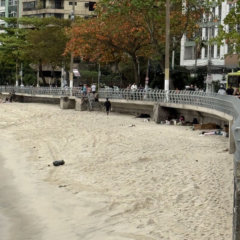 Imagem da publicação