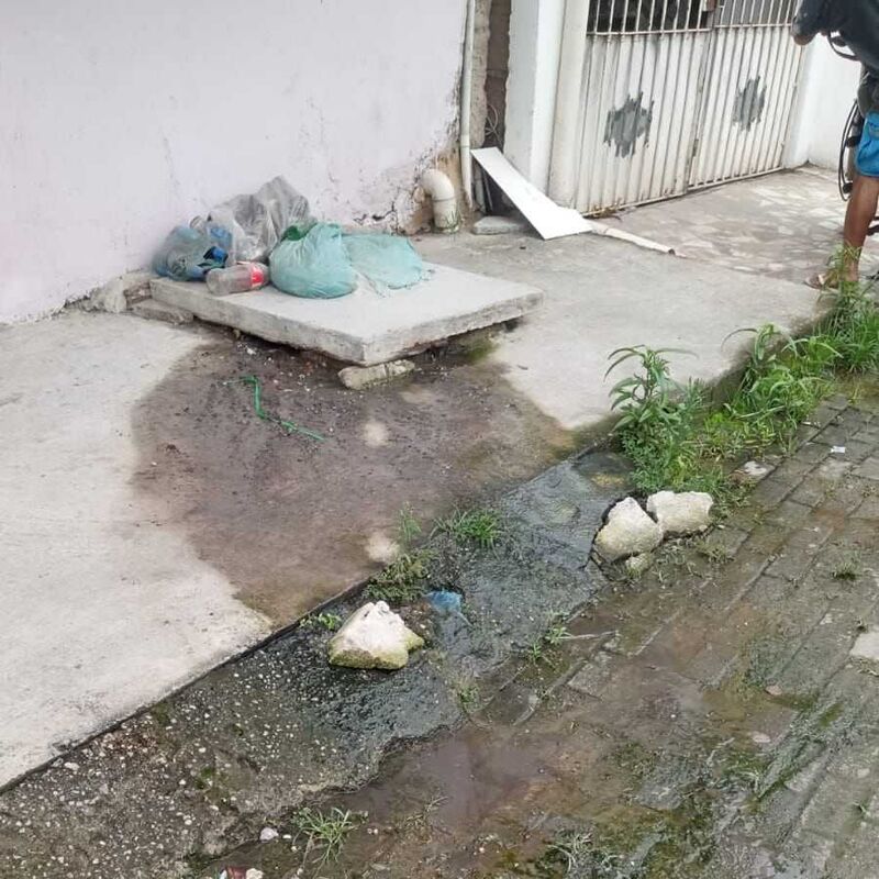Imagem da publicação