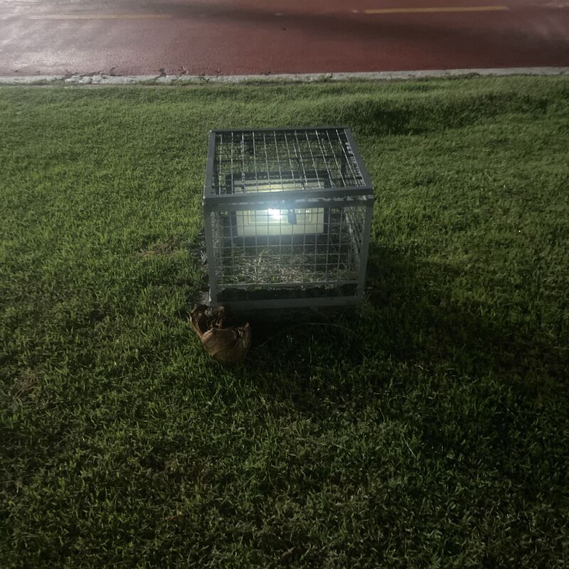 Imagem da publicação