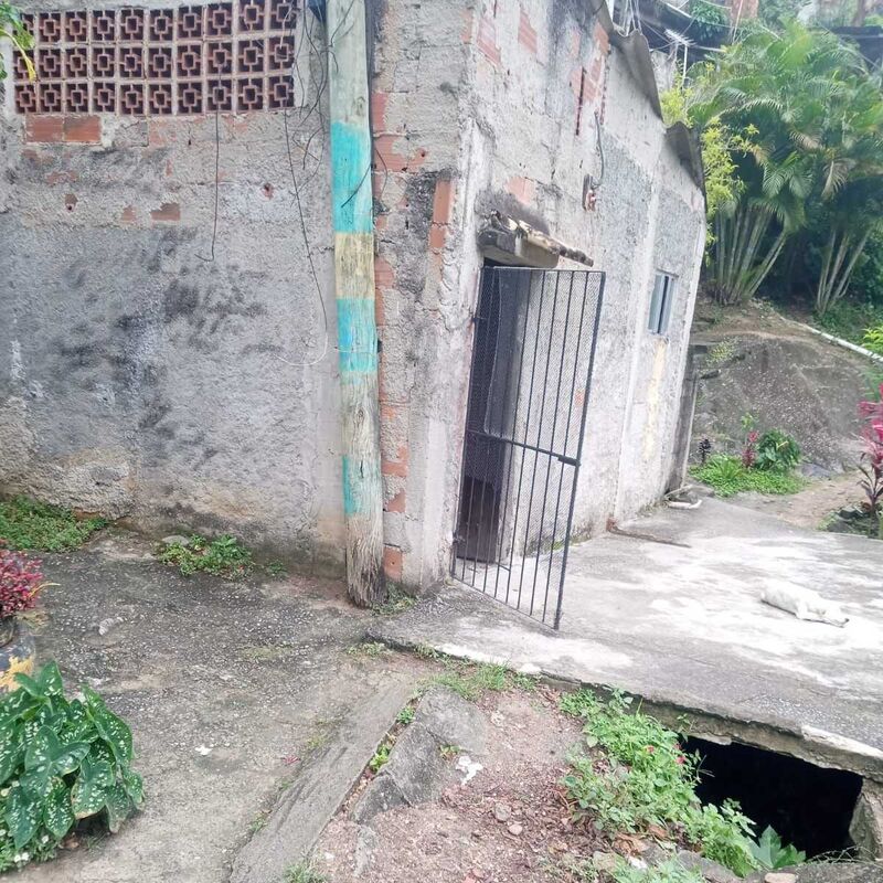 Imagem da publicação