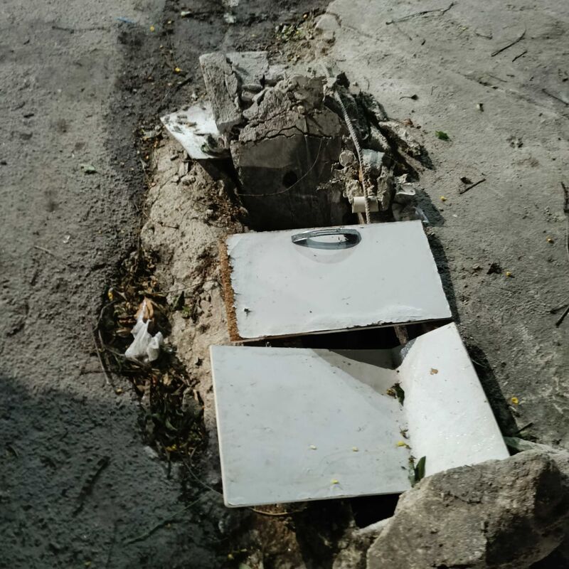 Imagem da publicação