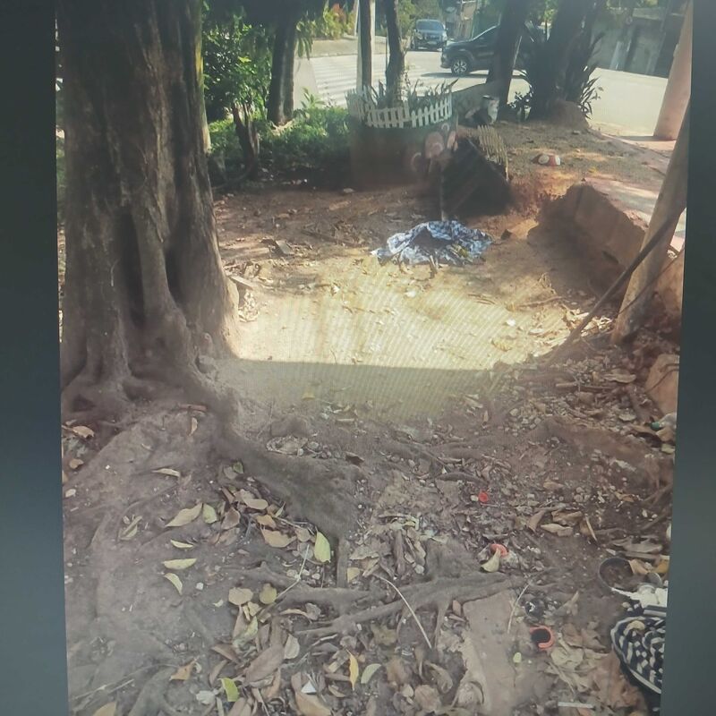 Imagem da publicação