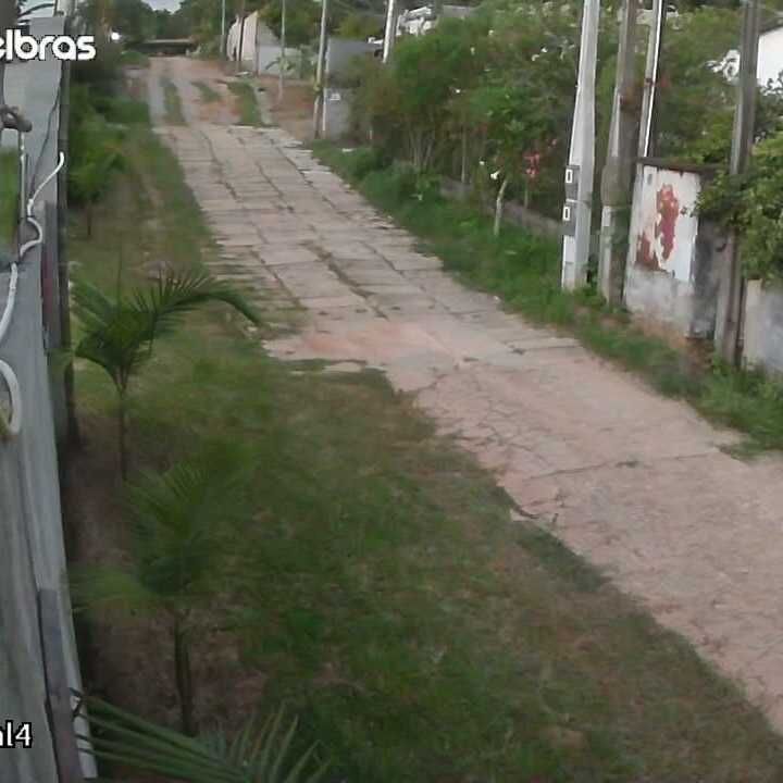 Imagem da publicação