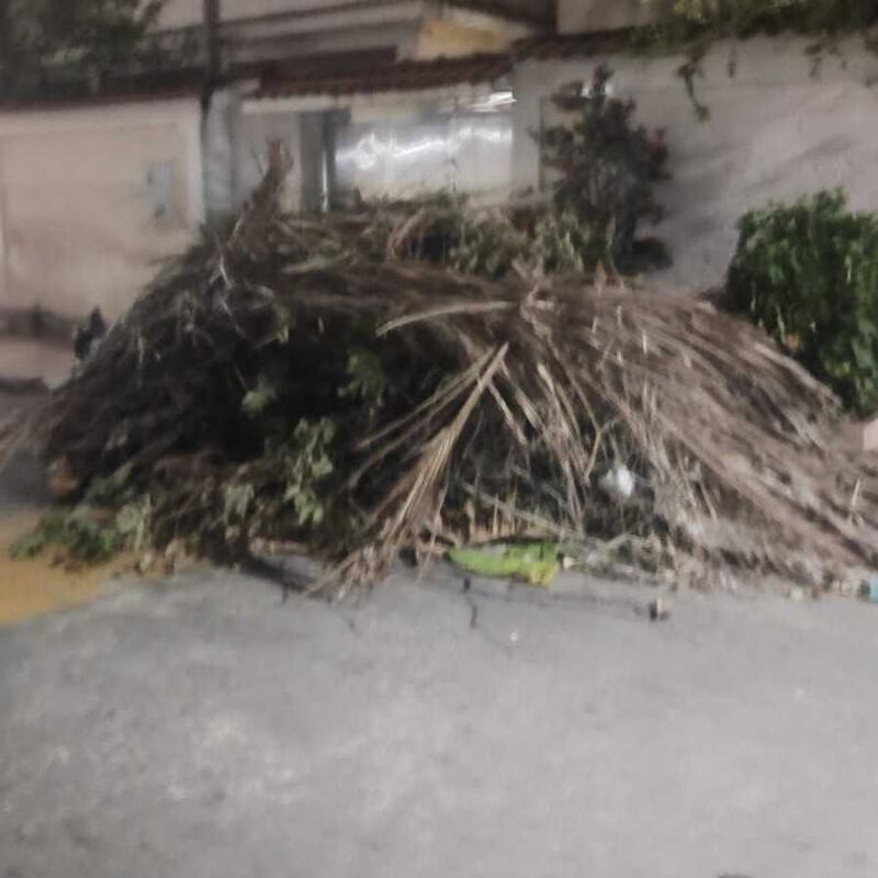 Imagem da publicação