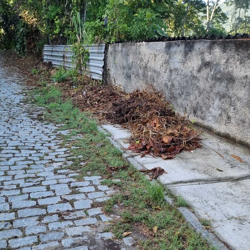 Imagem da publicação