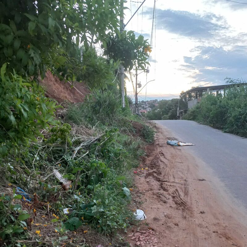 Imagem da publicação