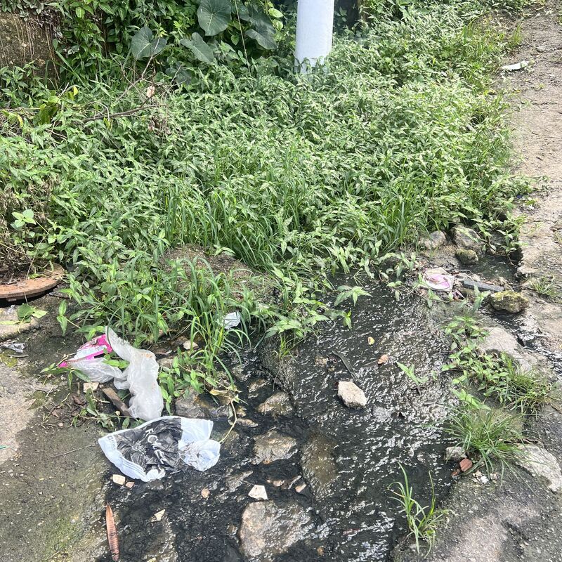 Imagem da publicação