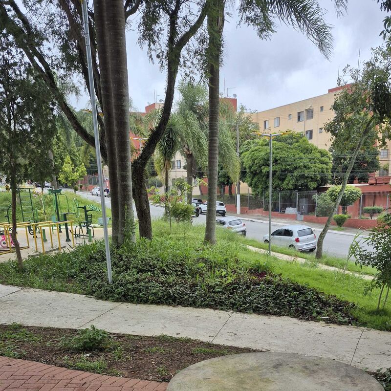 Imagem da publicação