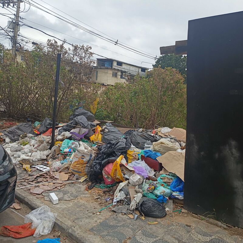 Imagem da publicação