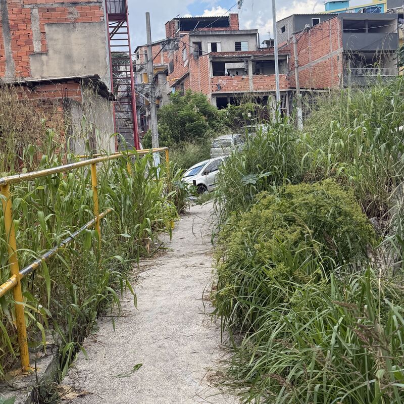 Imagem da publicação