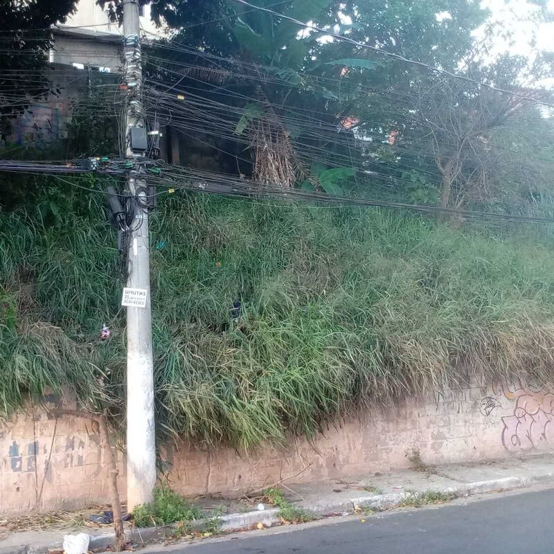 Imagem da publicação