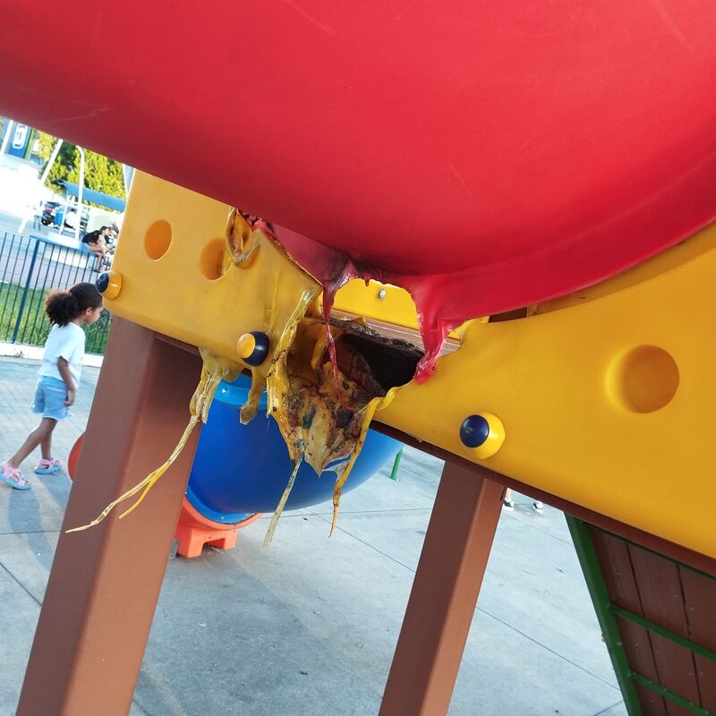 Imagem da publicação