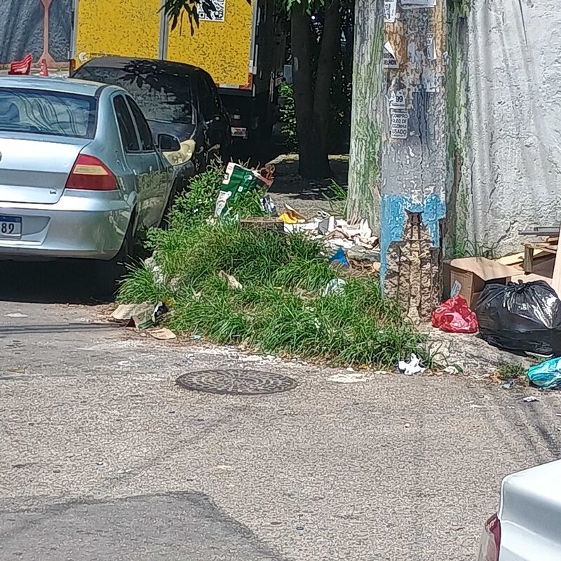 Imagem da publicação