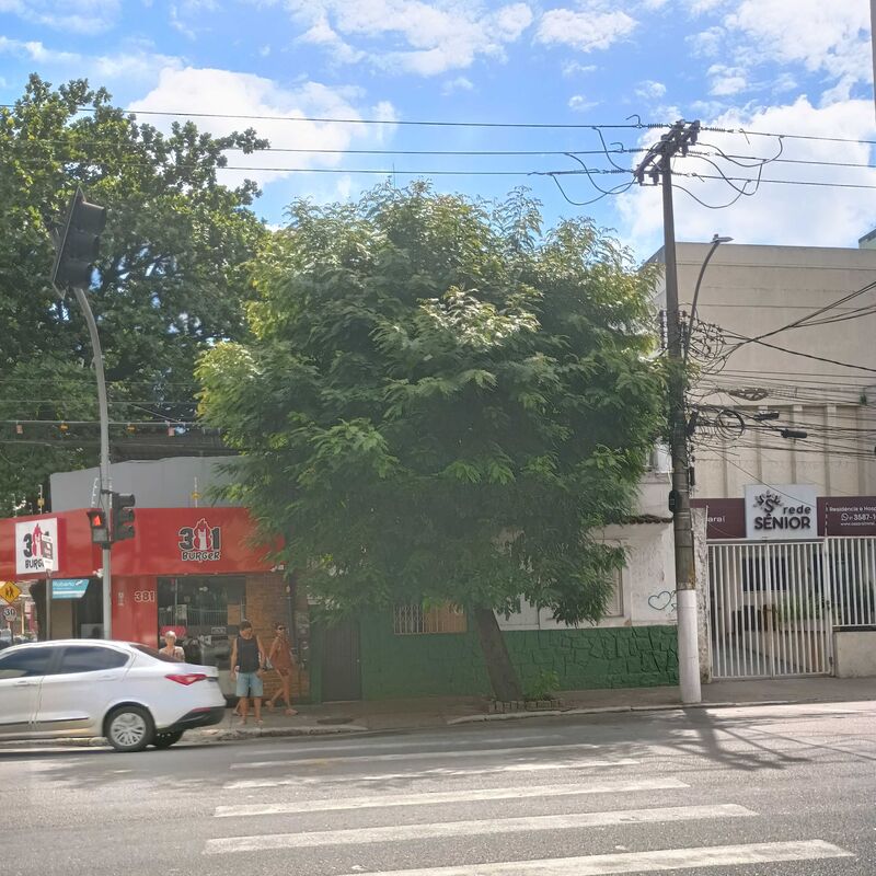 Imagem da publicação