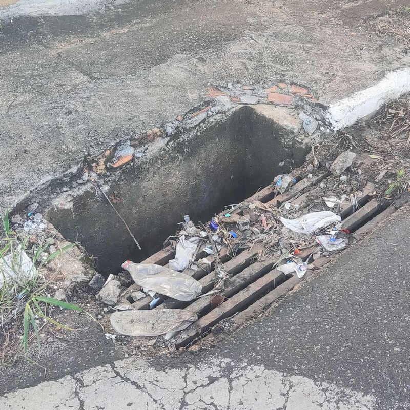 Imagem da publicação