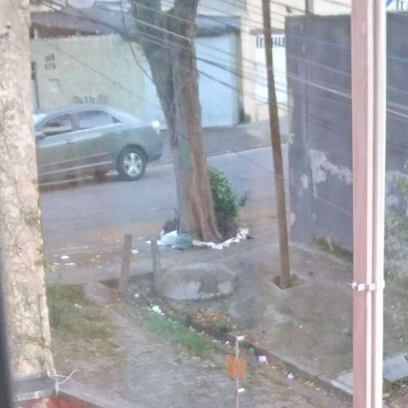 Imagem da publicação