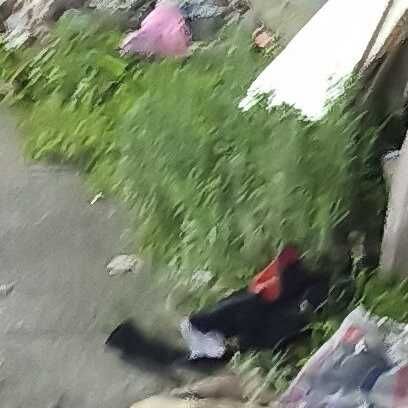 Imagem da publicação