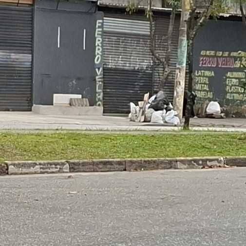 Imagem da publicação