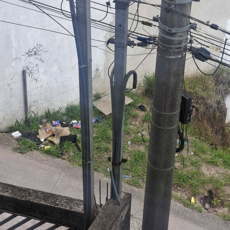 Imagem da publicação