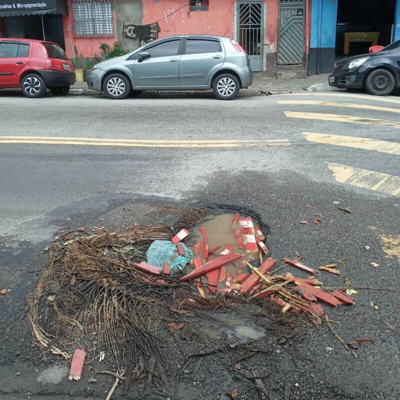 Imagem da publicação