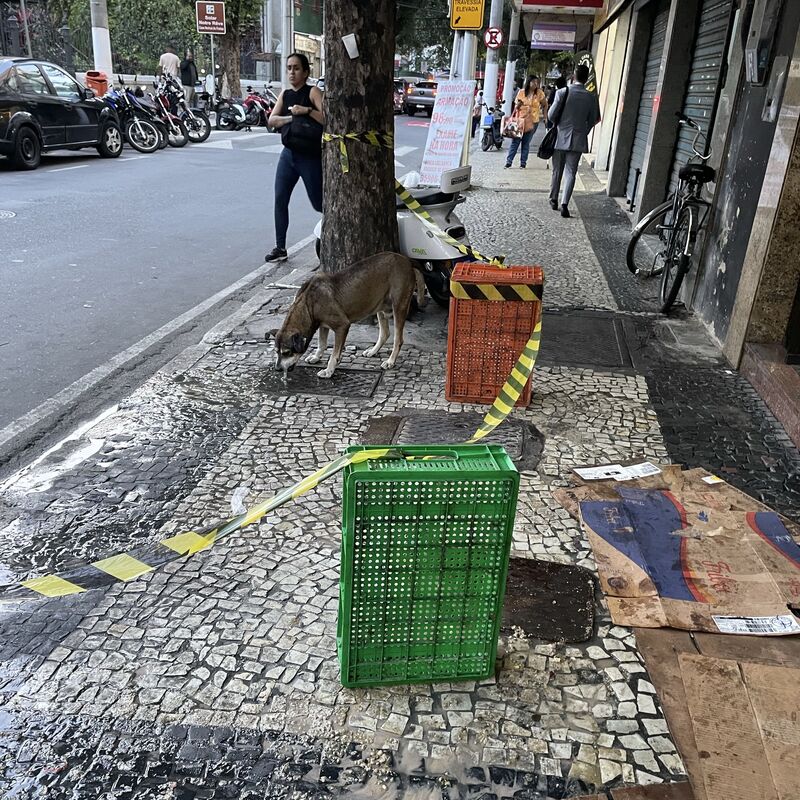 Imagem da publicação