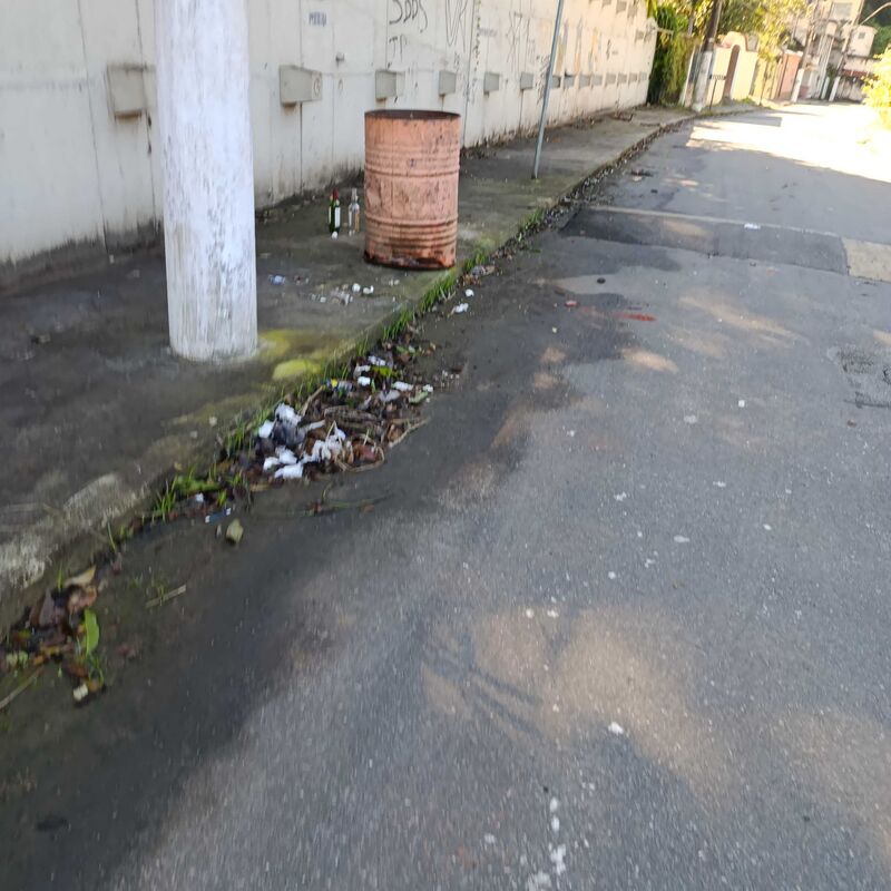 Imagem da publicação