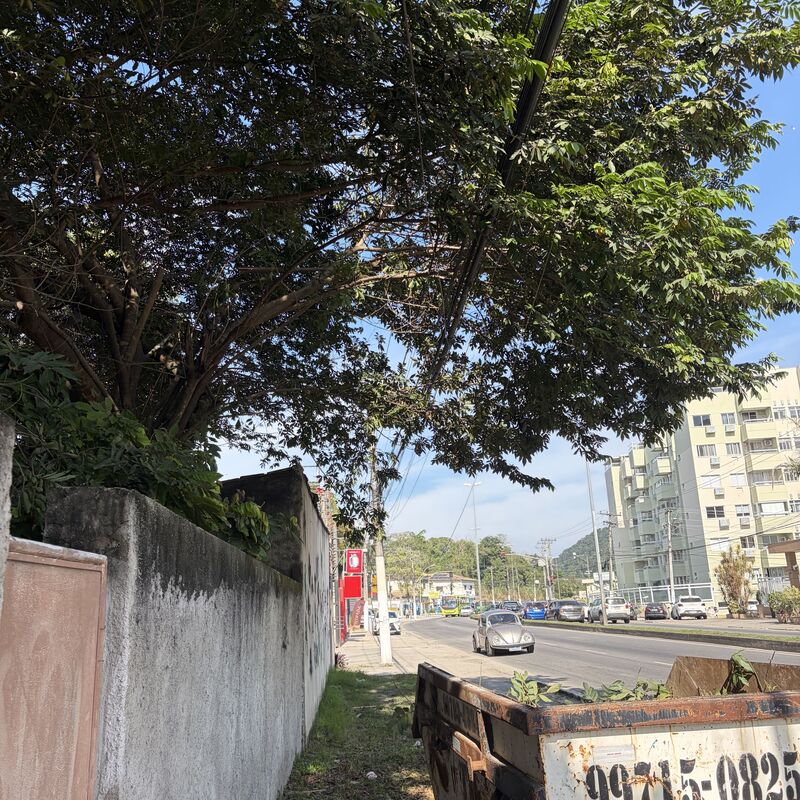 Imagem da publicação