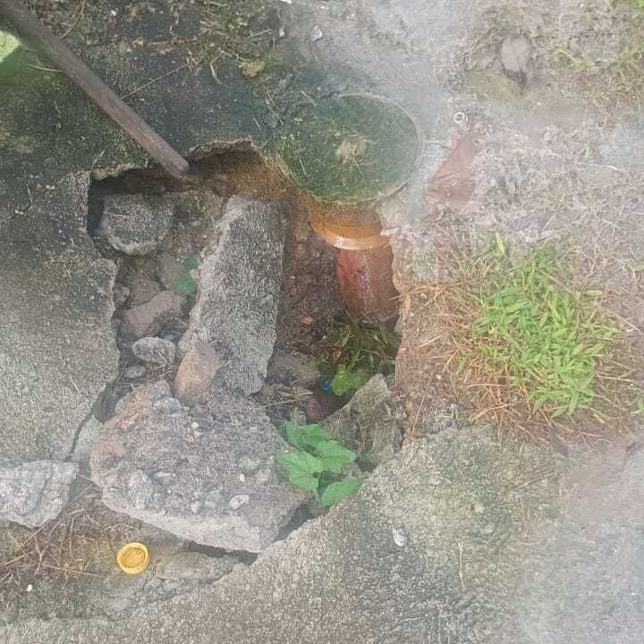 Imagem da publicação