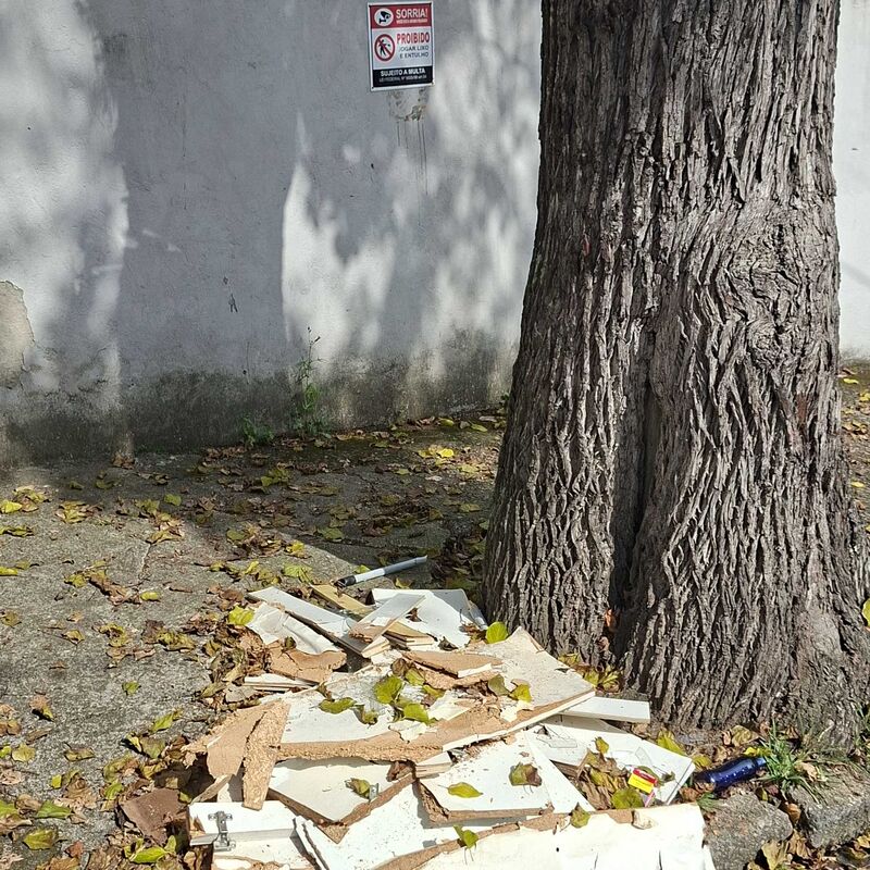 Imagem da publicação